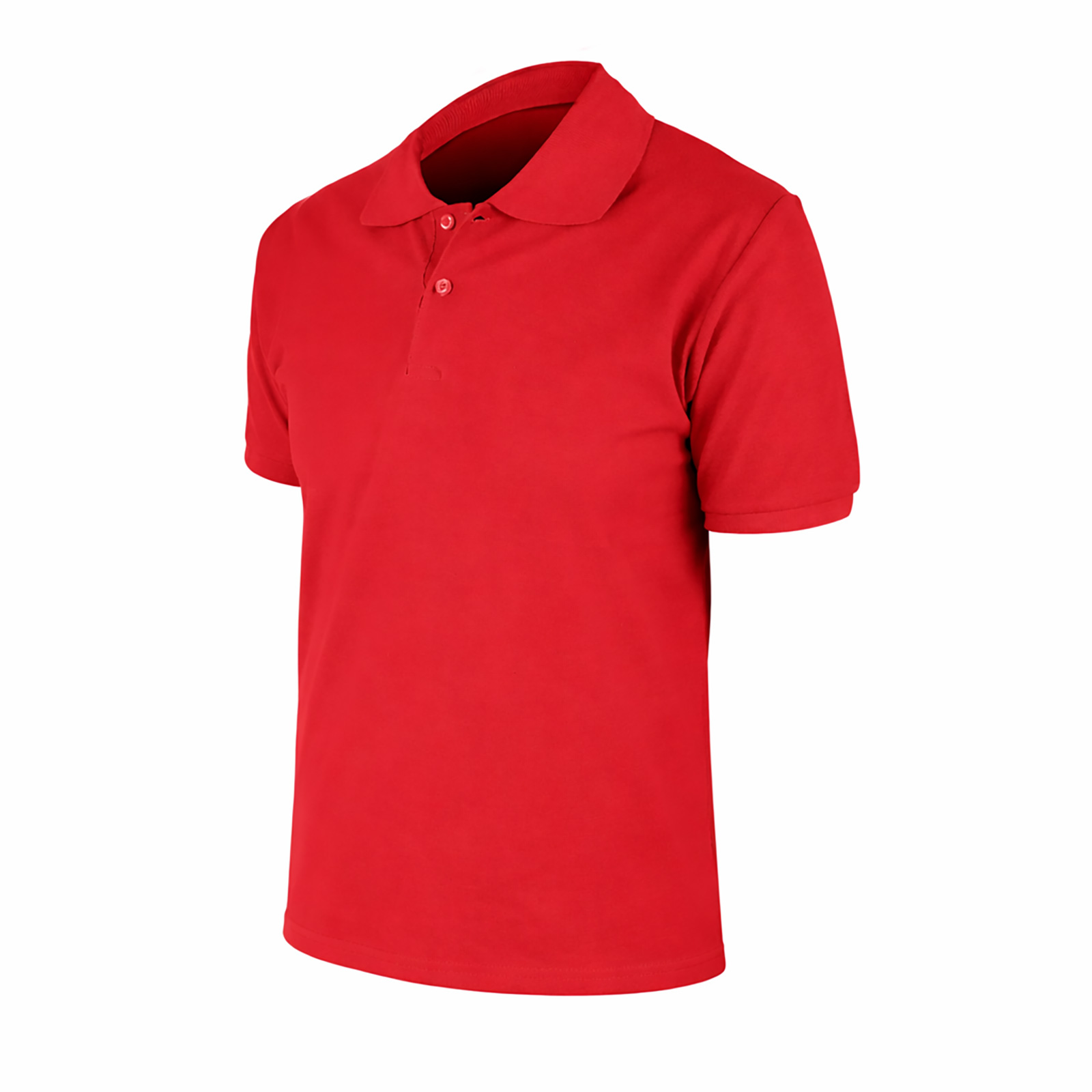 BEGONYA BORDO M POLO YAKA TİŞÖRT